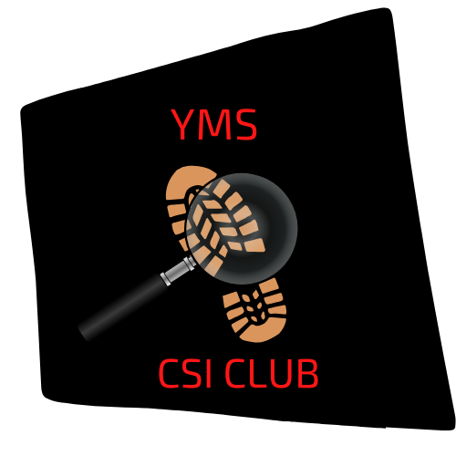 CSI Club