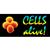Cells Alive.com logo. 